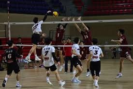 你知道奥尼尔和菲尔·杰克逊的故事吗？